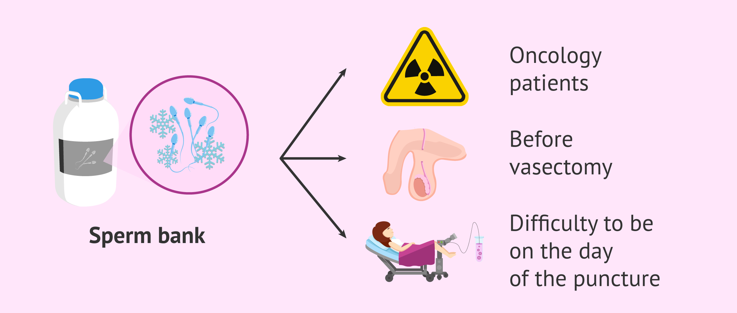 sperm-bank.png